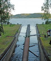 Besøk Lensemuseet